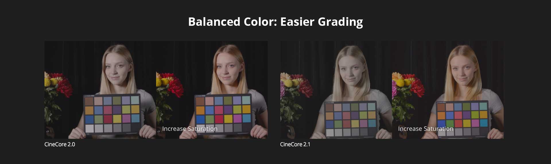 DJI Zenmuse X7 Balanced Color