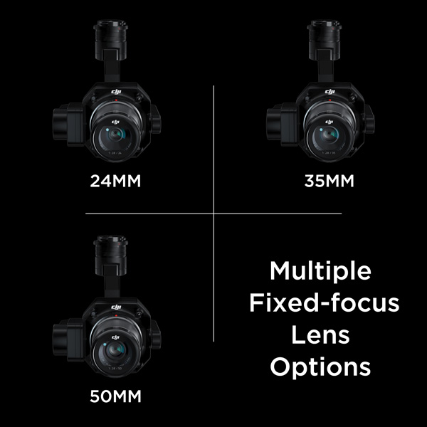 DJI Zenmuse P1 - Multiple Fixed-focus Lens Options