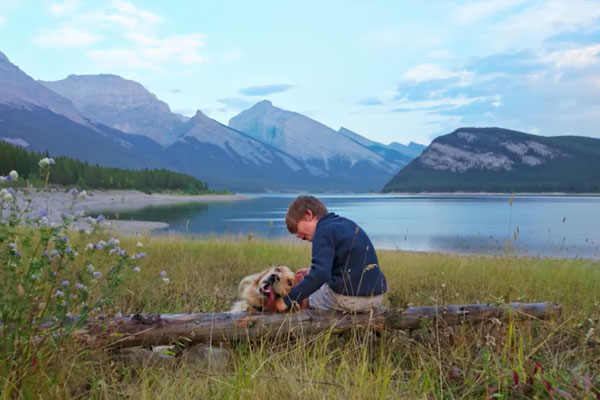 DJI Osmo Pocket 3 Descriptions - HLG HDR